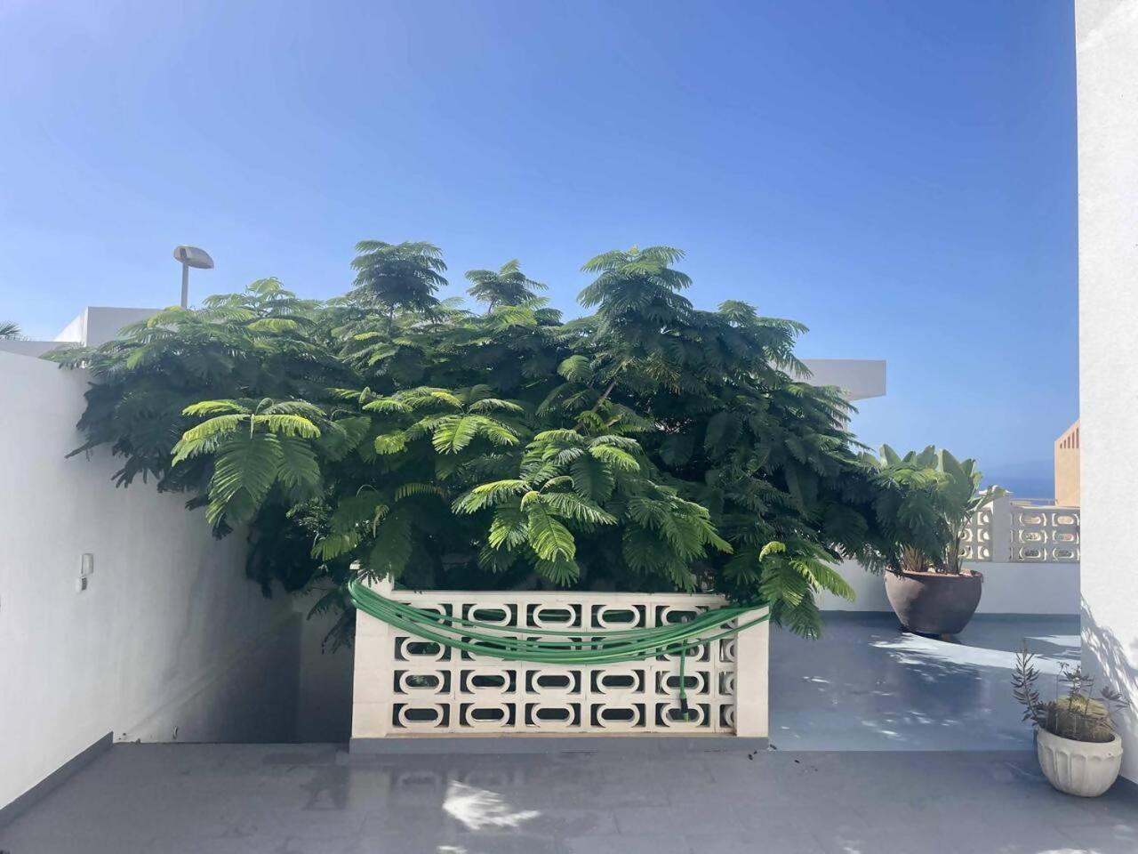 Villa Casa Flamboyant أذيخي المظهر الخارجي الصورة